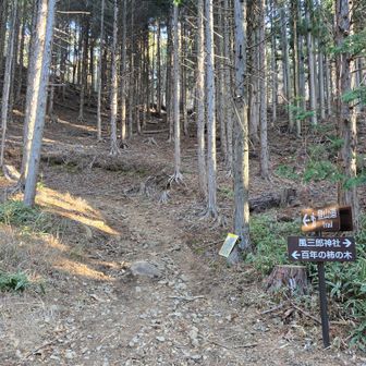 風三郎神社に目が留まる。下山時に余裕があったら立ち寄ってみようかしら。※下山時に転んだのはこの道