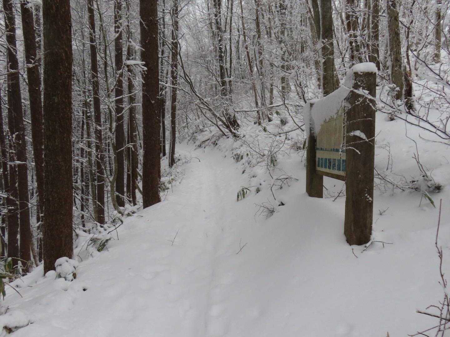 北面白山登山入口-三沢山 往復コースの写真