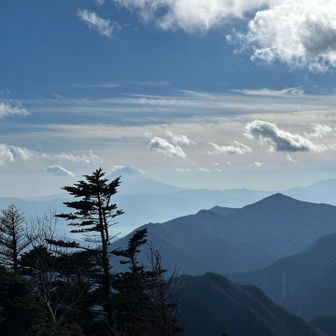 う〜ん
木が邪魔だ💦