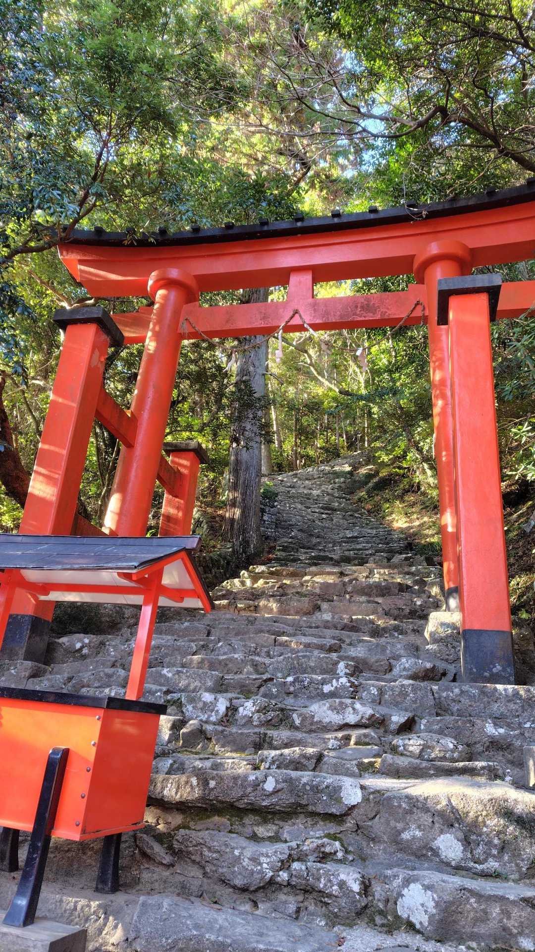 千穂ヶ峯-神倉神社 周回コースの写真