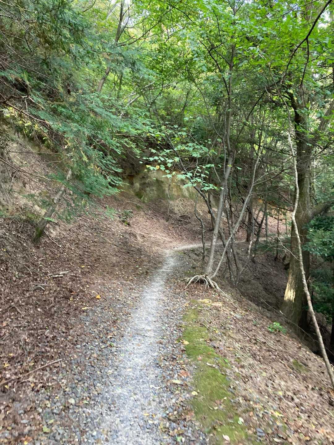 白鳥山-横高山-水井山-仰木峠-戸寺バス停 縦走コースの写真