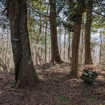 祠のあるピーク。