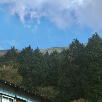 丸山荘まで帰って来ました♪