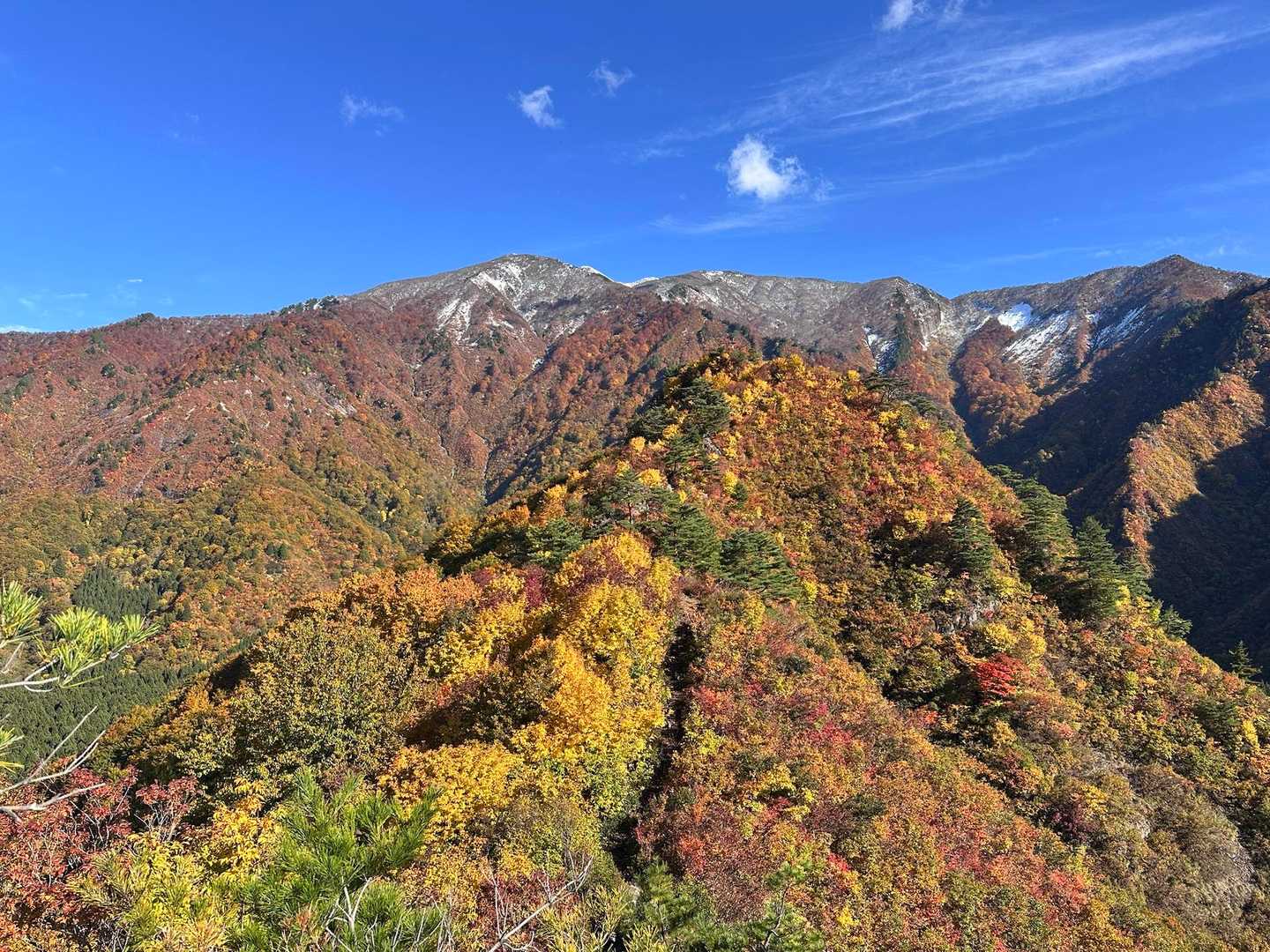 昔は巻機山への道があったそうです