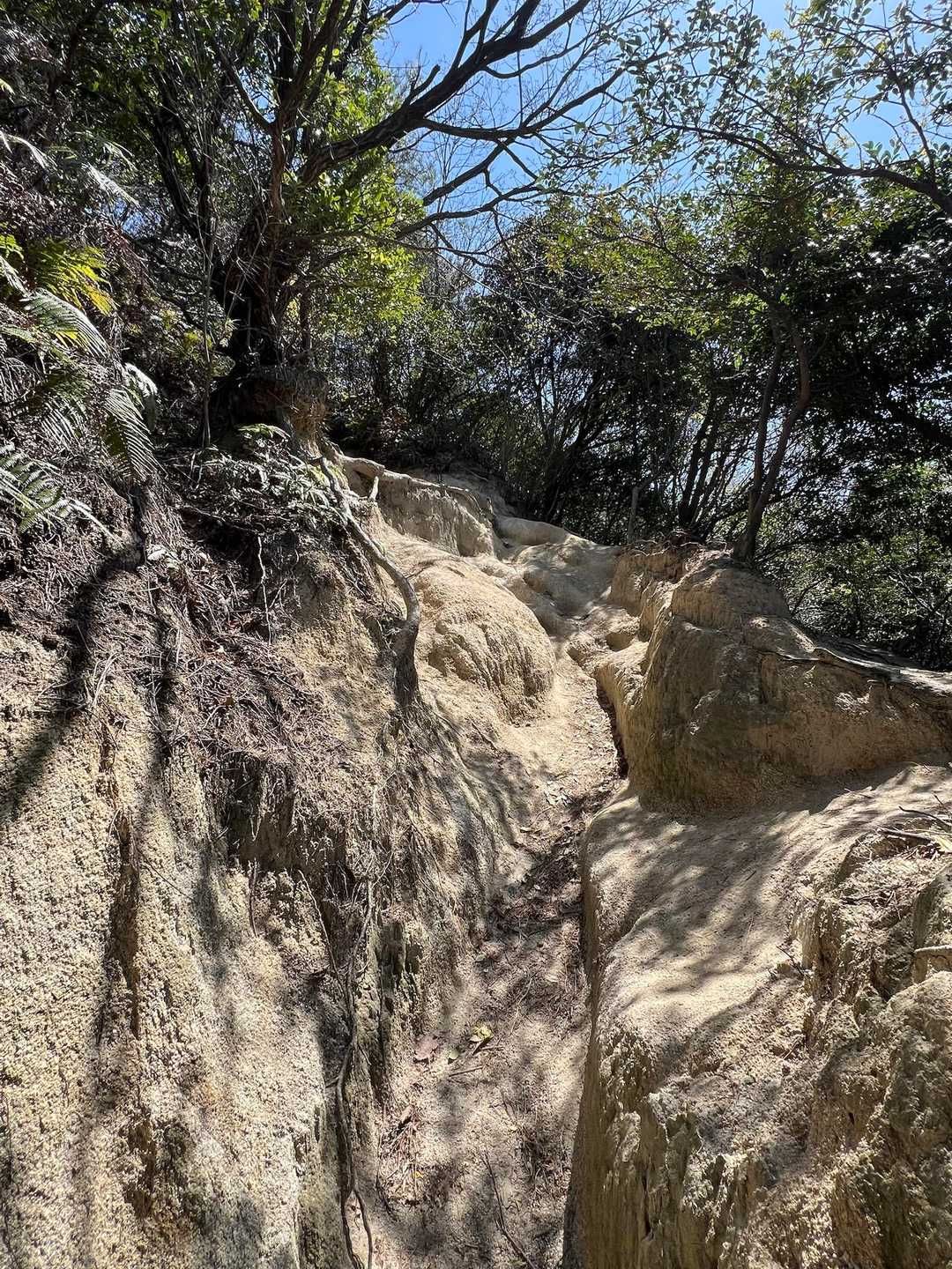 梅林登山口-片江山 往復コースの写真