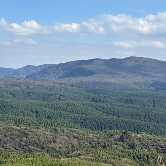 縦走して右手に見える大矢岳を目指しましょう。
遠くて時間が心配だったけど歩き易い登山道でしたよ。