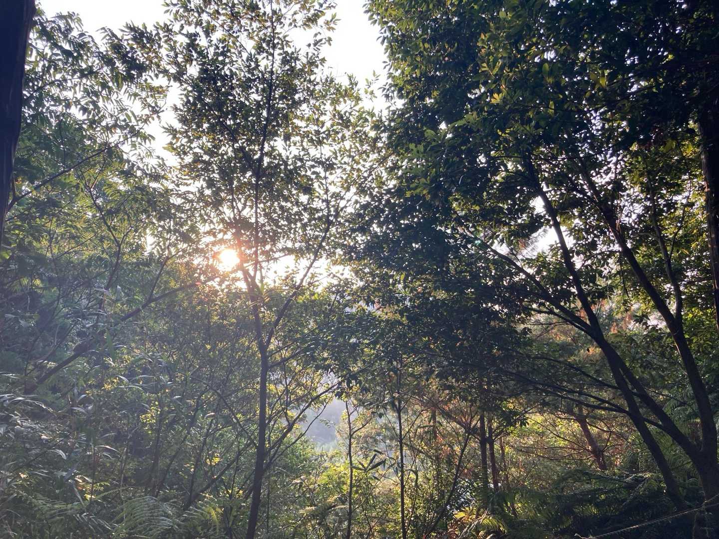 良い夕暮れでした☺️