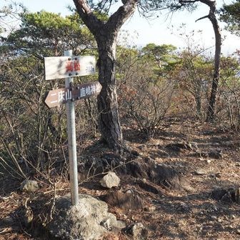 ここから下山が始まる。