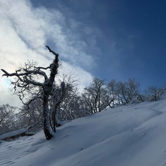 壁になりつつ、ここ登るんだ…