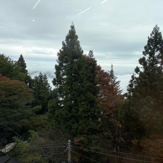 ランチもスキップして即撤退。神社付近のお店でお昼ご飯にします。食堂からの眺めでは雲の上にいる模様