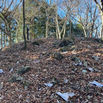 前回の下山の時は急な下りとしか思っておりませんでしたが…今回の登りはラスボス感とっても満載の急登でありました😭

登り好きの方(Mに限る)は蕨山だけで終わらせずここまで来る事をお勧めしますw