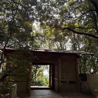 旧天上寺の仁王門。　この場所なんか好きなんですよね。　緑が綺麗です。
ここを潜ると階段地獄が始まります💦
やっとこさ足が動いてきたので、写真は撮らず進みます。