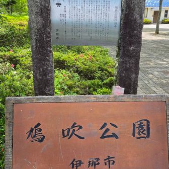 来ちゃいました(笑)

こんな公園があるなんて知らなかった…💦