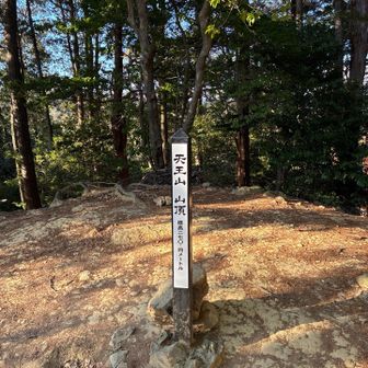 薄暗い丘やでと聞いていたけど丘だったw
大河需要で登る方もこれから増えるでしょうね😊