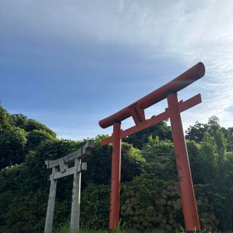 久しぶり⛩️