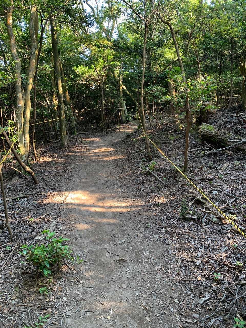 おお、明神山の弱点であるずっと舗装路を見事にカバーしてくれてる。
このまま正規ルートとして残してほしい