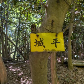 城ノ山頂▲