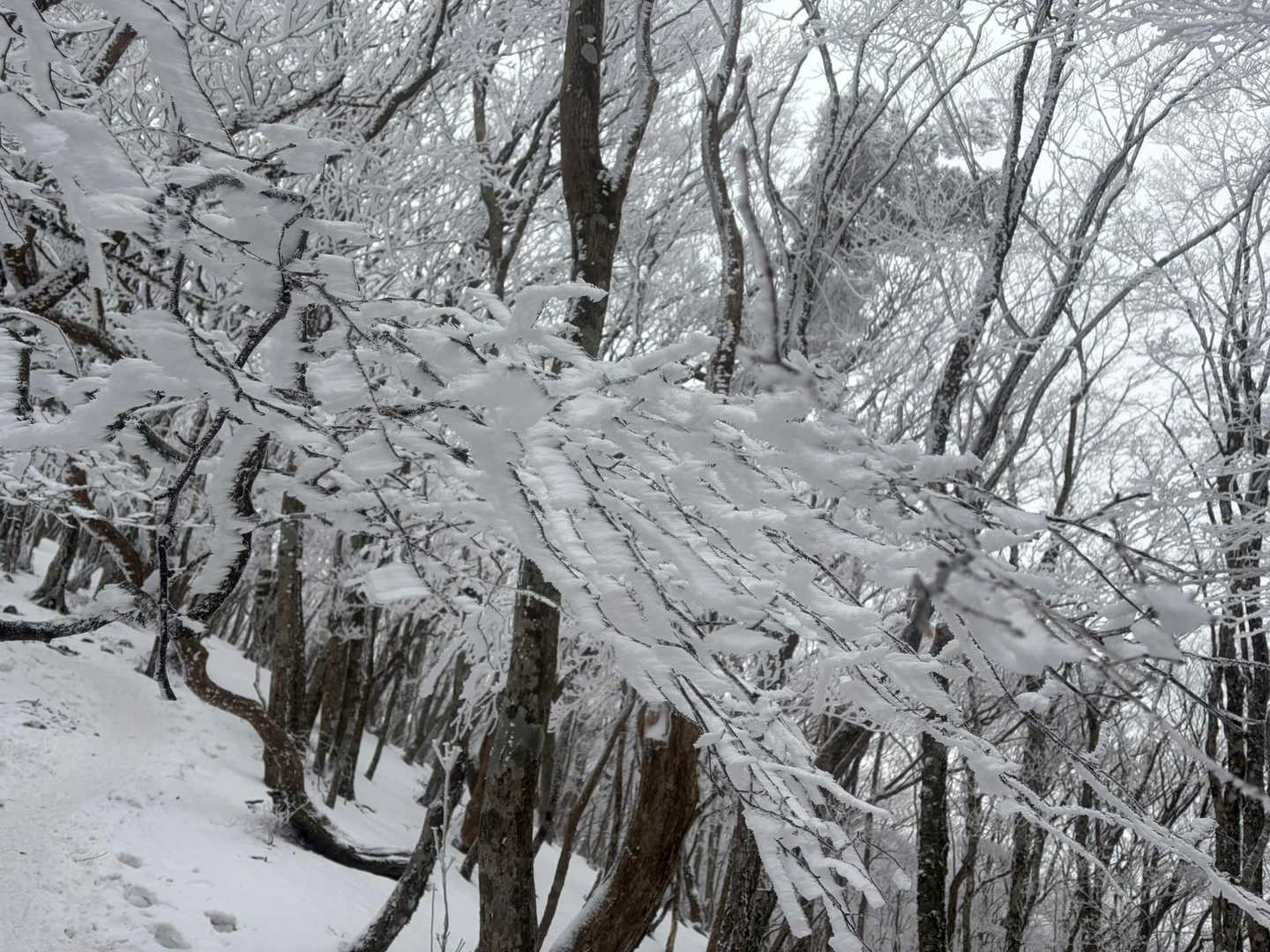 高見山登山口-高見山 縦走コースの写真