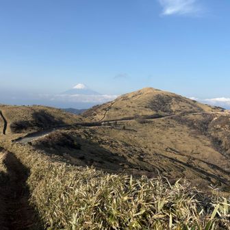 ここまで来てやっと富士山がよく見えた。
