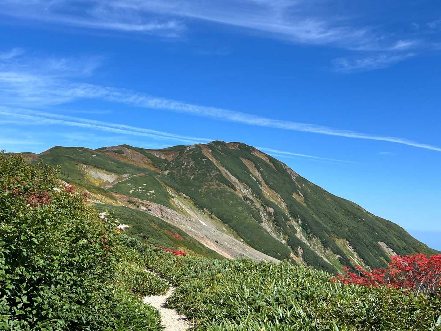 朝日岳周回 | 蓮華温泉を起点に、花の海と白馬の展望を巡る北アルプス最北の旅の写真