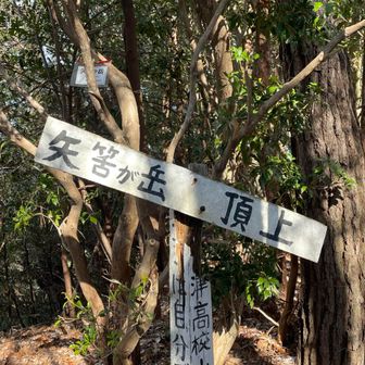 矢筈ヶ岳山頂⛰️

ココからはひたすら下山
里南口バス停まで歩くと、丁度、東急団地経由の石山駅行きが来る時間👍
寒くて凍えそうな中、大変有り難い😮‍💨