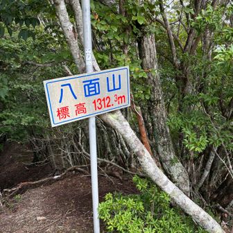 山頂到着。とてつもなく遠く感じました。