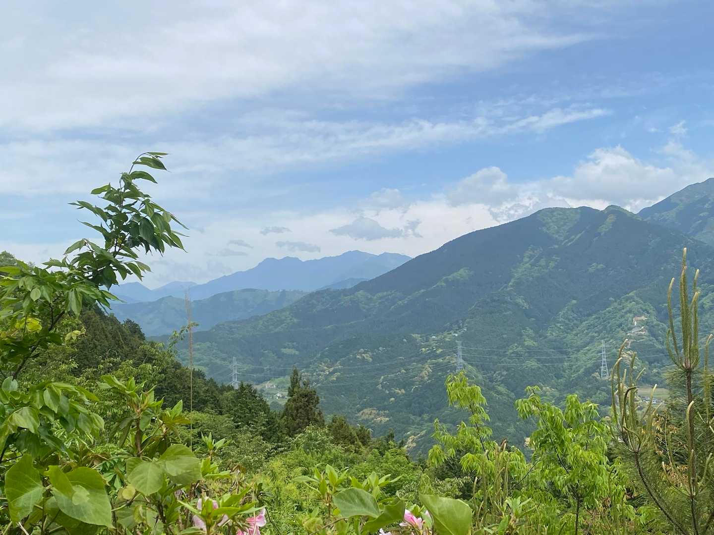 塩ヶ森-番駄ヶ森-ケタ山 周回コースの写真