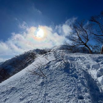 でもトレースはしっかり😊
かじかんだ手で何とか撮影😅