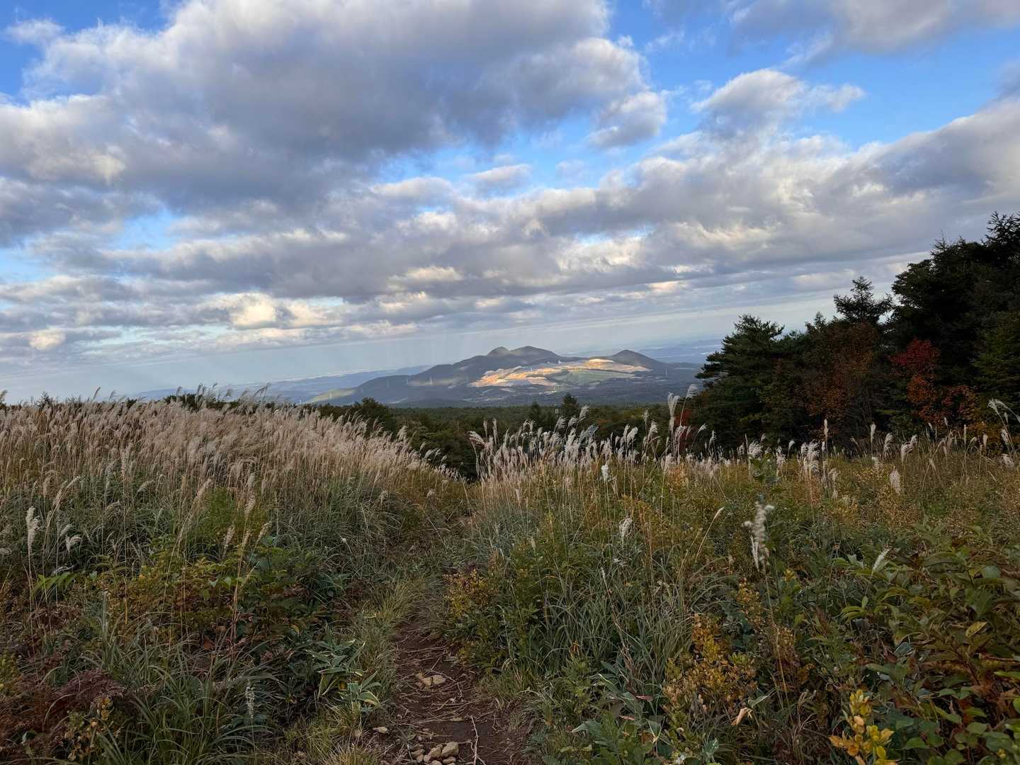 下山もなかなかの段差の階段と粘土っぽくて滑る登山道💦　やっとこ下山です！長かった🫠