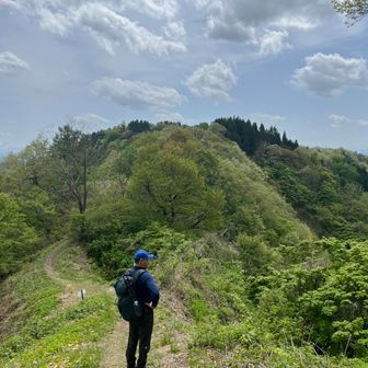 ゴリラ大将大山