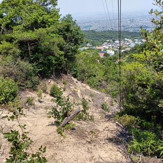 今回、唯一ルートを見失った所。
工事のためか伐採されてるだけ？
左手に登山道は続いてました。