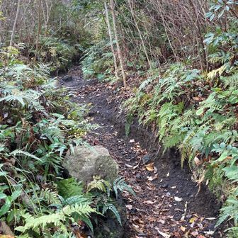 最初はこんな感じの砂利道が続く