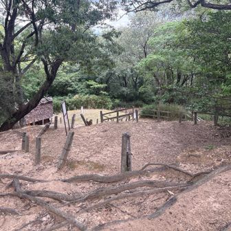 下の方に高床倉庫がみえる。