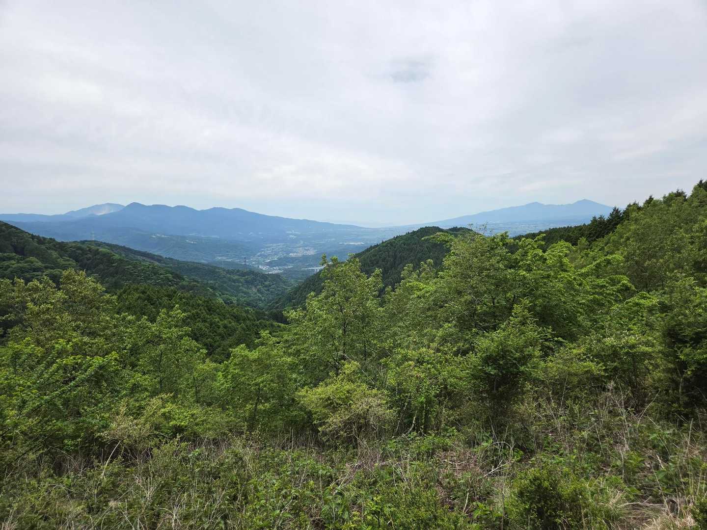 箱根と右に愛鷹山