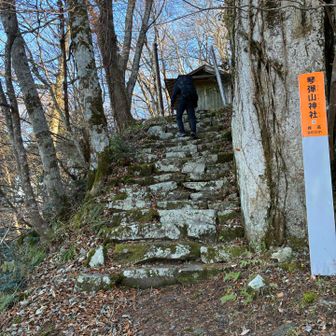 琴弾山神社⛩️は階段登って👉