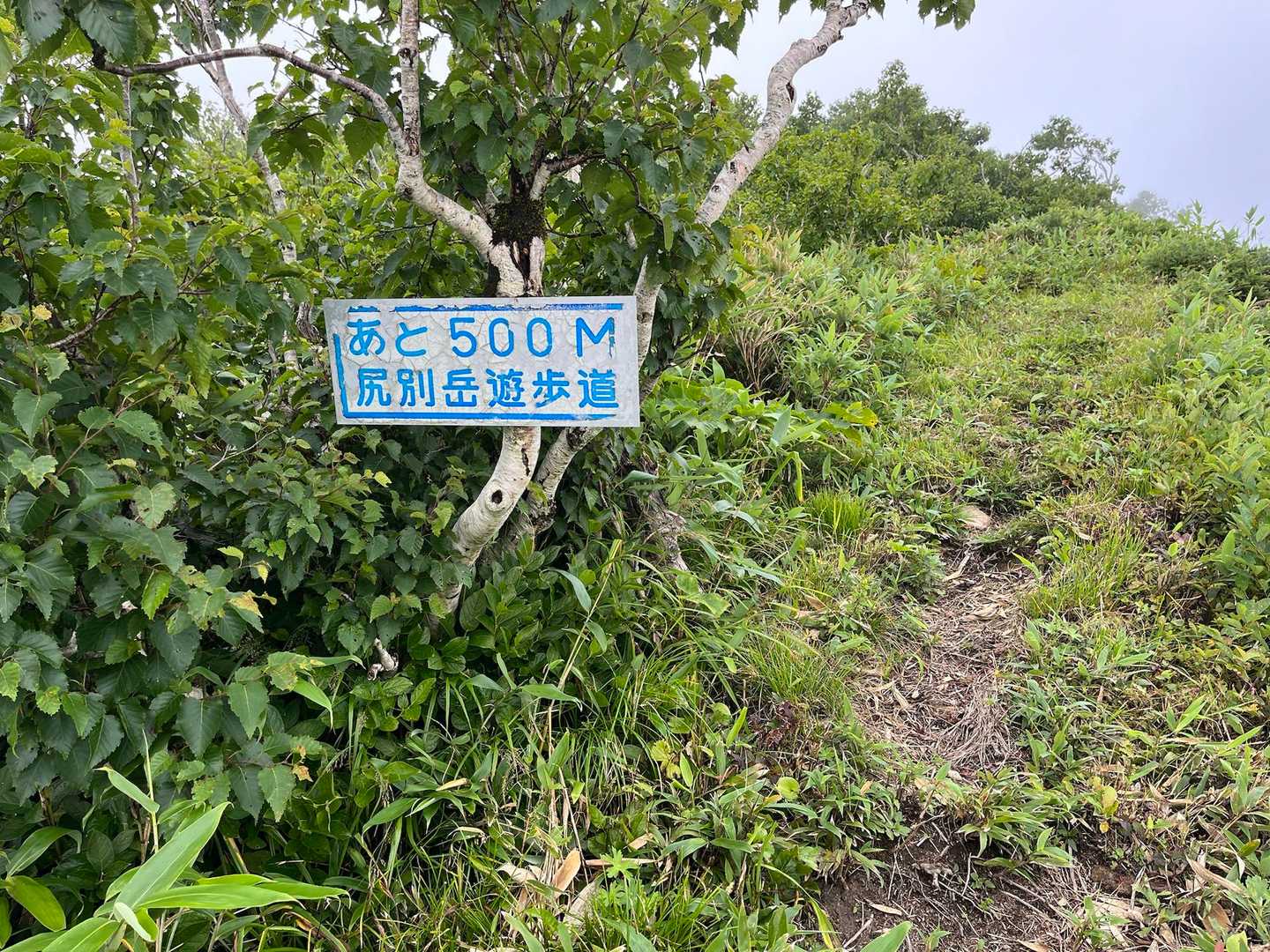 ちょっと期待しちゃったけどまだ先でした。
真っ白だからどこがゴールかわからず、今回は何度も山頂かと期待して裏切られました。