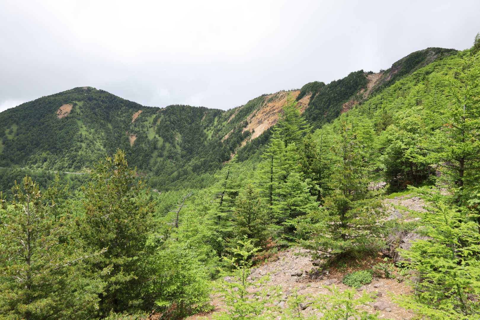 水ノ塔山と東篭ノ登山の稜線
