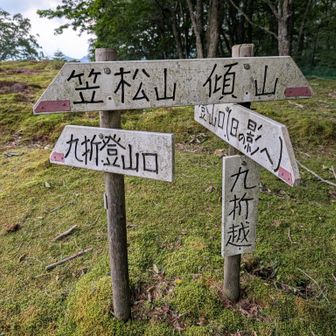 九折越 ここは緑の広場