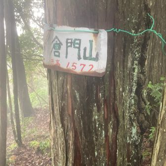 往路で撮影し忘れたから📷
というか倉門山周辺
どこが正規ルートなのかわからないまま下山