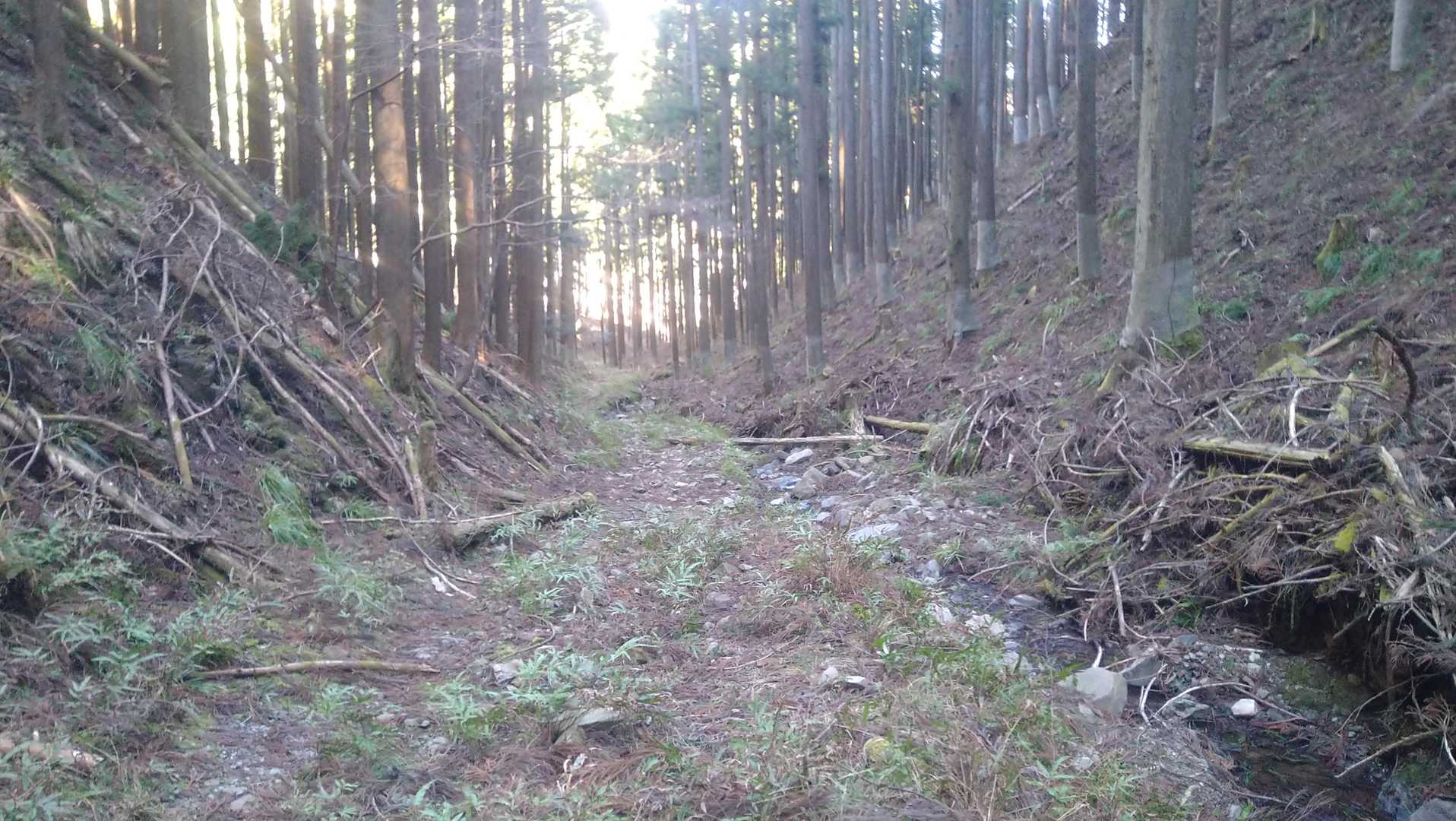 沢沿いの道に出ました
ここも暖かくなると山ビルが出てしまうのでしょう