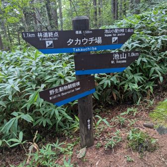 ここの分岐で迷う。
YAMAPの地図にない、野生動物観測棟に行ってしまう💦。
