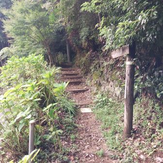 ゴール。そしてなむなむと。