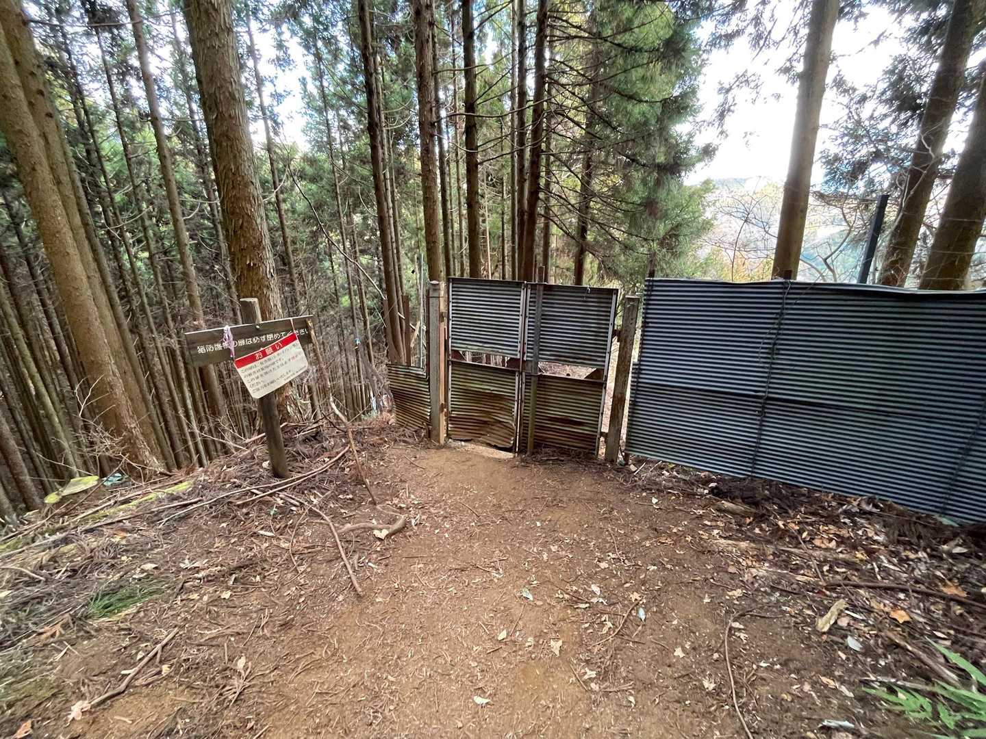 扉があるぞー🚪