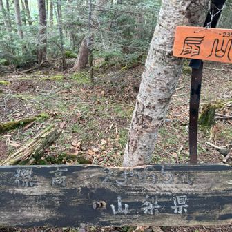 ようやく扇山🪭