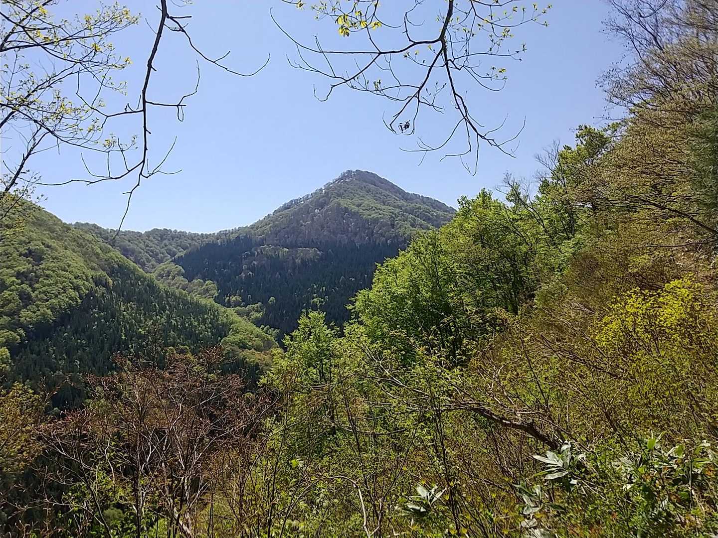 見えました😃午前中の御堂森⤴️💪