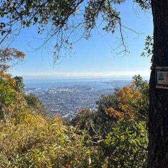 城山の山頂から