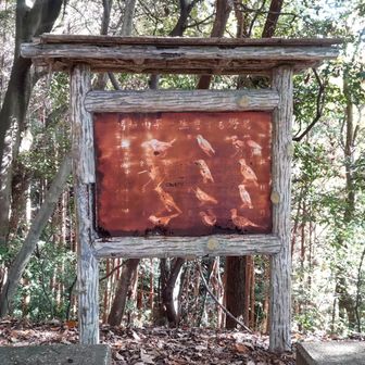 鳥の広場。息子の声聞こえず。