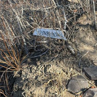 金洞山方面へと通じる波線ルート