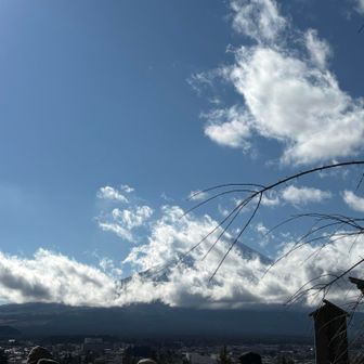 階段降りてきた
全貌見ることはできなかったけど、少しだけでも見れたから良かった☺️