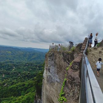 こっちもすごい
地獄のぞきは大行列だったので割愛🫪